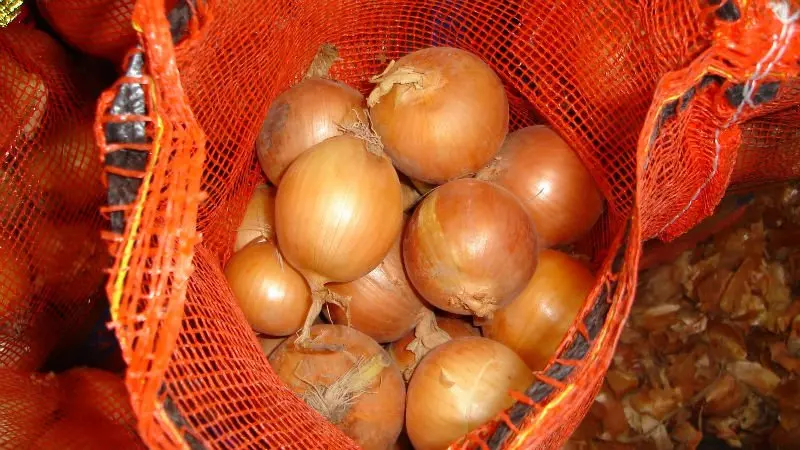 
Fresh yellow onion 