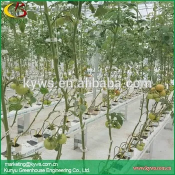 Hydroponic gutter for strawberry tomato pepper hydroponic trough for greenhouse
