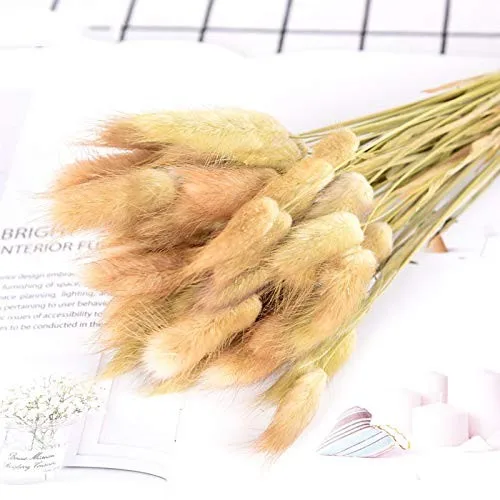 Preserved Eternal Forever Flowers Dried Rabbit Tail Grass Dry Lavender Flower Grass For Decoration