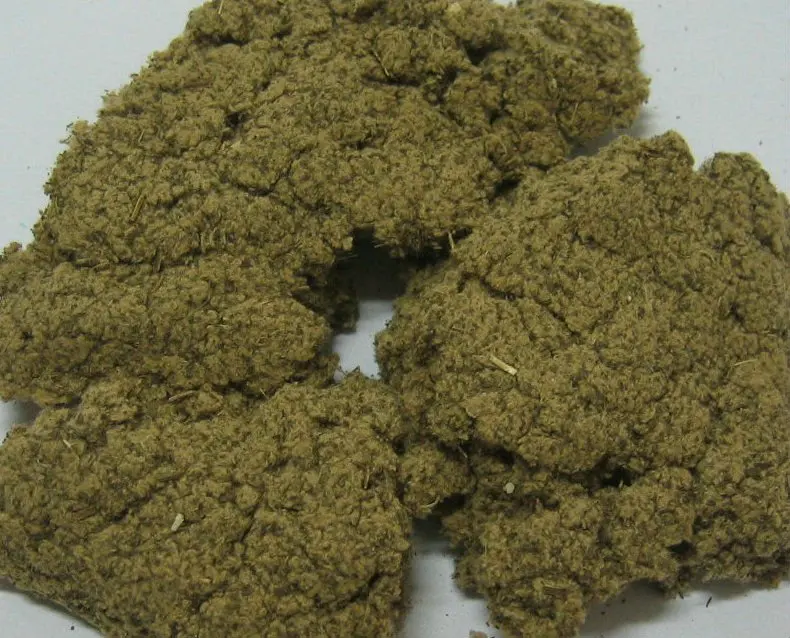 
100% Natural Villiform Argy Wormwood Leaf 