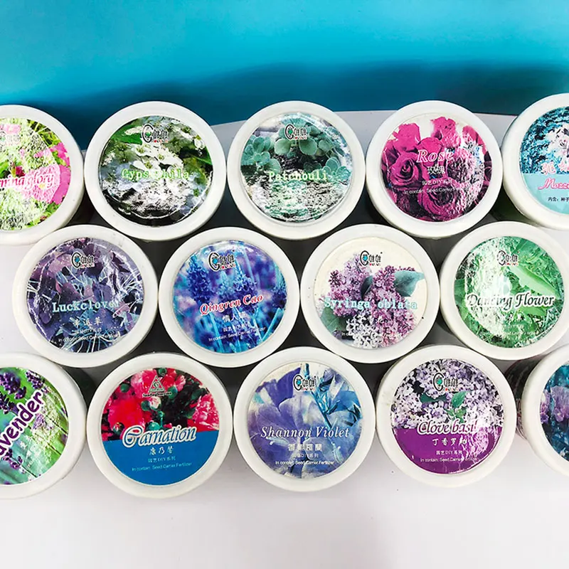 
Potted Plants Grow Baby Flower Growing Creative Home Gardening 