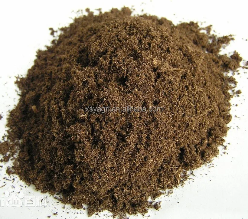  Подложка торфяного Моха Sphagnum садовое растение для кондиционера почвы органическое