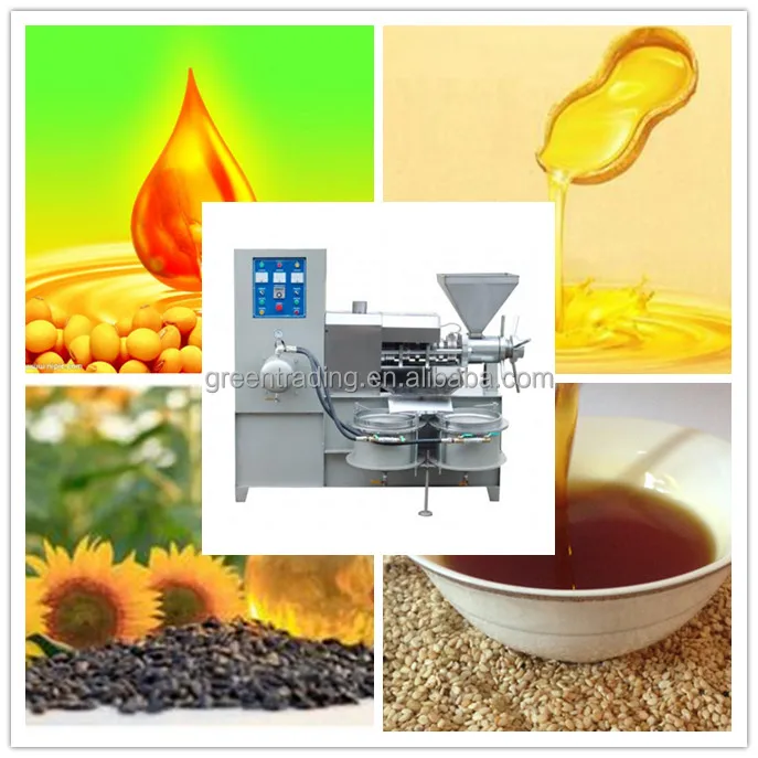 100kg/h Mini Oil Press Small Oil Mill Uses Vegetable Rice Bran Palm Kernel Groundnut Sunflower Oil Milling Machine Making CE ISO