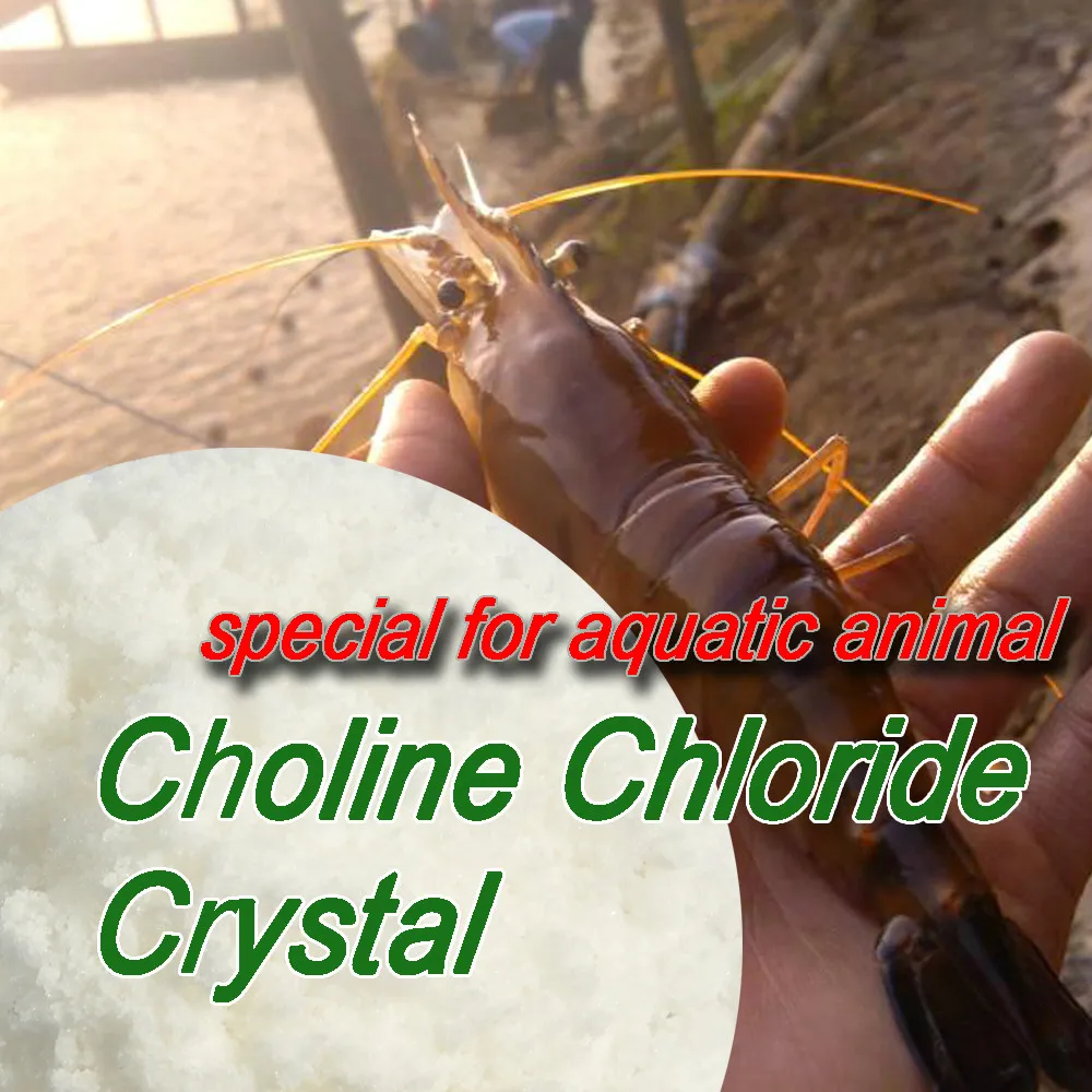 В организме животных незаменимую основной компонент хлорид холин 98%