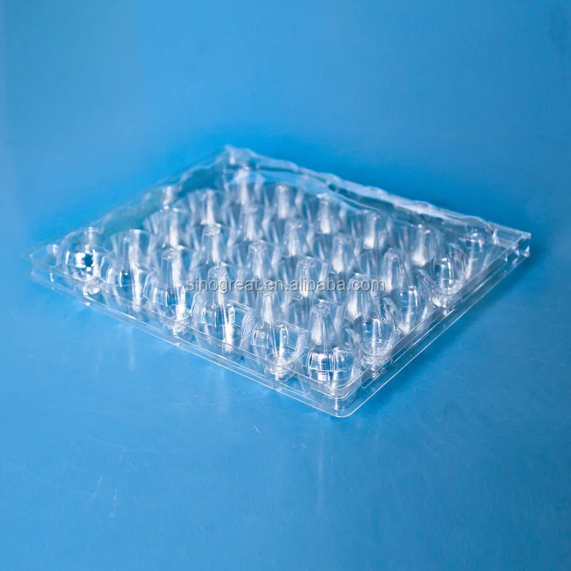 Plastic Quail Egg Packaging plastic disposable egg packing tray