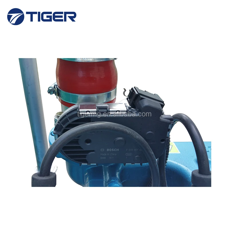 Home Use Small Power Convenient Operation 10KVA Lpg Generator