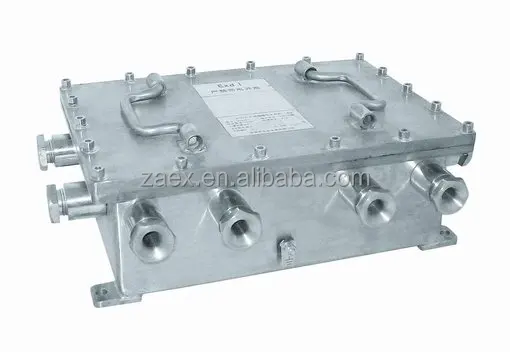 
OEM Security Marine Corrosion Proof Explosion proof Camera Case for Hazardous Area 