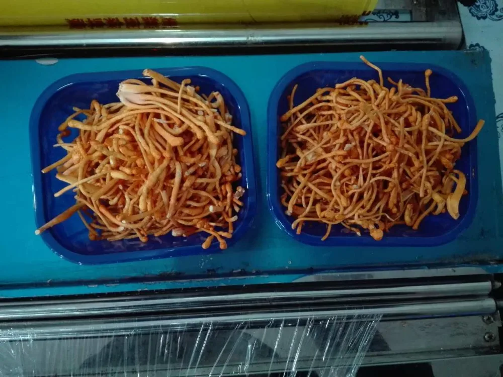 
Detan Cordyceps Militaris Fresh Mushroom 