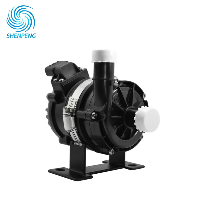 Head 9m Flow 40LPM 12v 24v Car Pump
