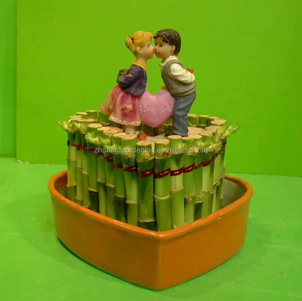 
heart shape love bonsai indoor tower lucky bamboo 