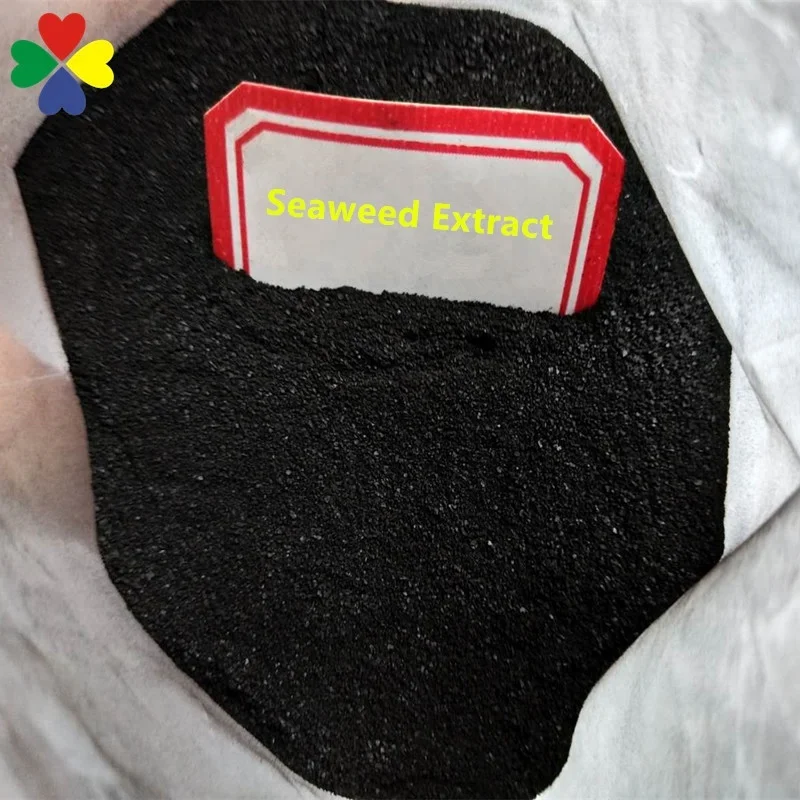 
Agricultural Black Hen Organic Seaweed Kelp Extract Fertilizer Ascophyllum Nodosum 