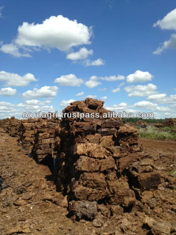 
Sphagnum natural white peat moss 