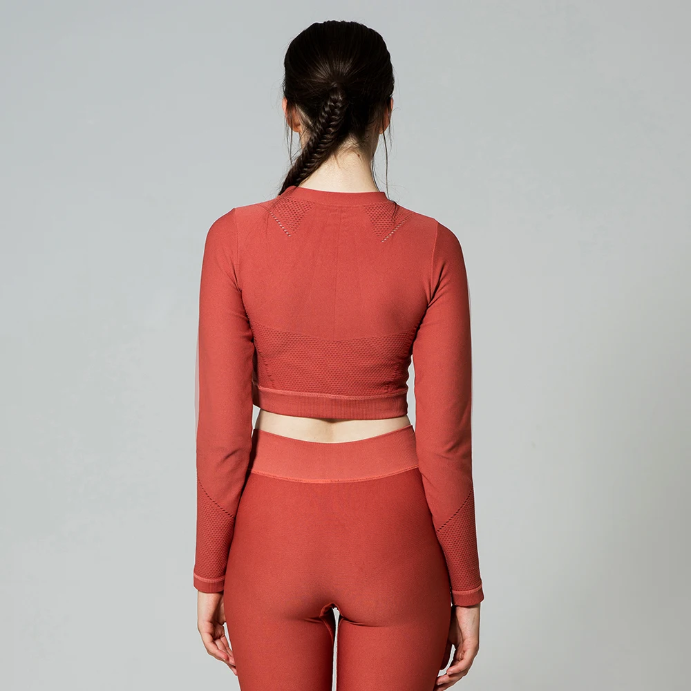 wholesale Plain blank sport shirt long sleeve women workout sports crop top for women