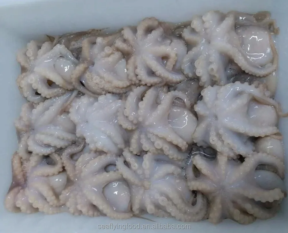 frozen baby octopus