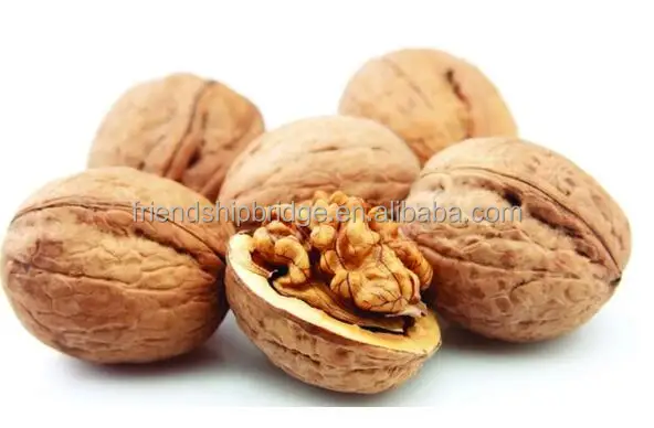 
Walnut seedling saplings 