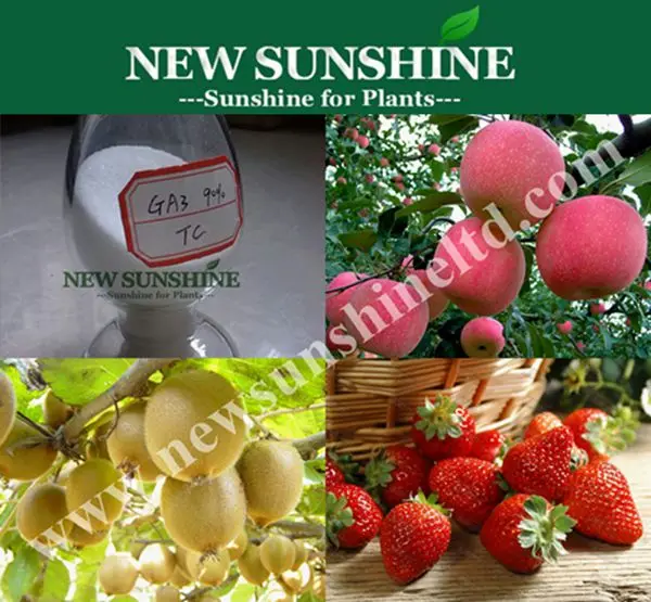 Hot Sale Plant Growth Regulator Gibberellic Acid GA3 Gibberellin 90%TC