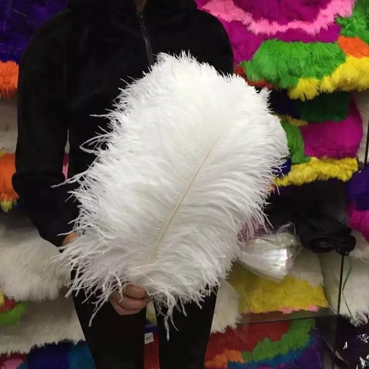 Wholesale White Ostrich Feather,65-70cm colours ostrich plumes