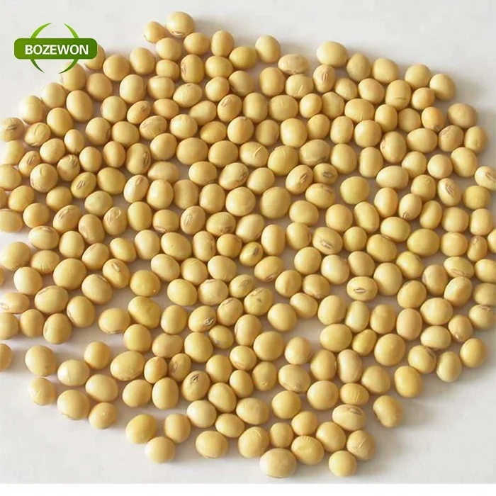 Organic Instant Soy Milk Powder/Soya Bean Powder