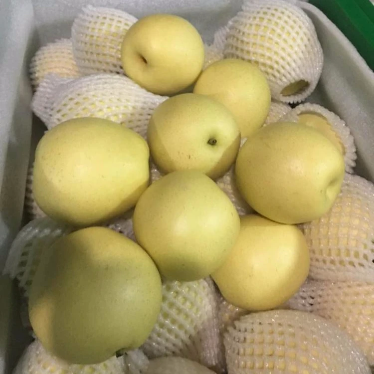 Fresh pear ya pear, golden pear