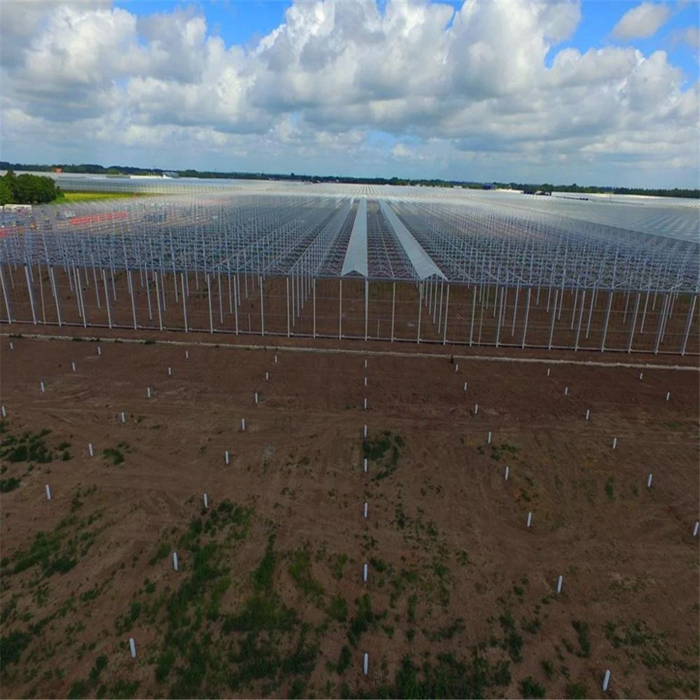 
Natural vents 3-layer breathable blackout material installed commercial greenhouse with rack and pinion system 