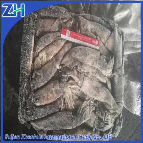 Squid Whole Round Ommastrephes Bartrami Squid 300-500g Frozen Squid