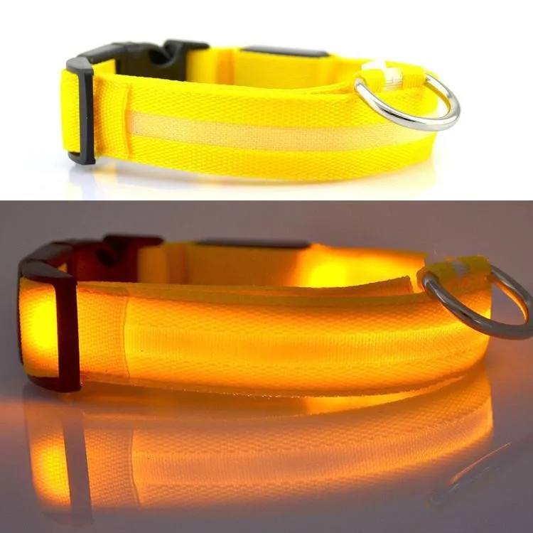 Wholesale Eco Friendly Pet Dog Training Collars Nylon Luxury Custom Martingale Led Dog Collar