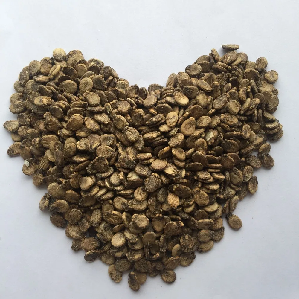 F1 hybrid lemon yellow flesh black skin seedless watermelon seed