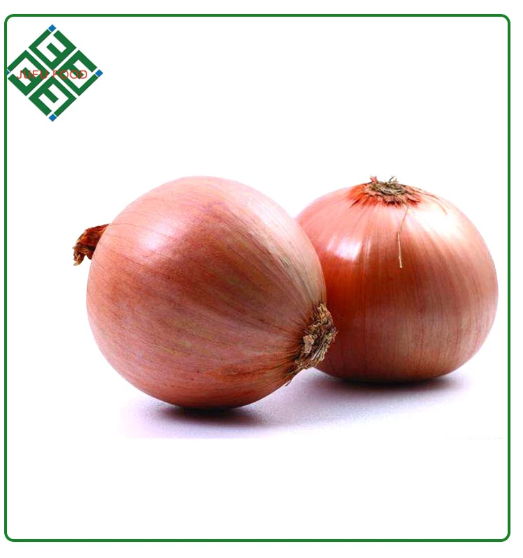 
all year supply fresh red onion 4 - 10 cm shandong 