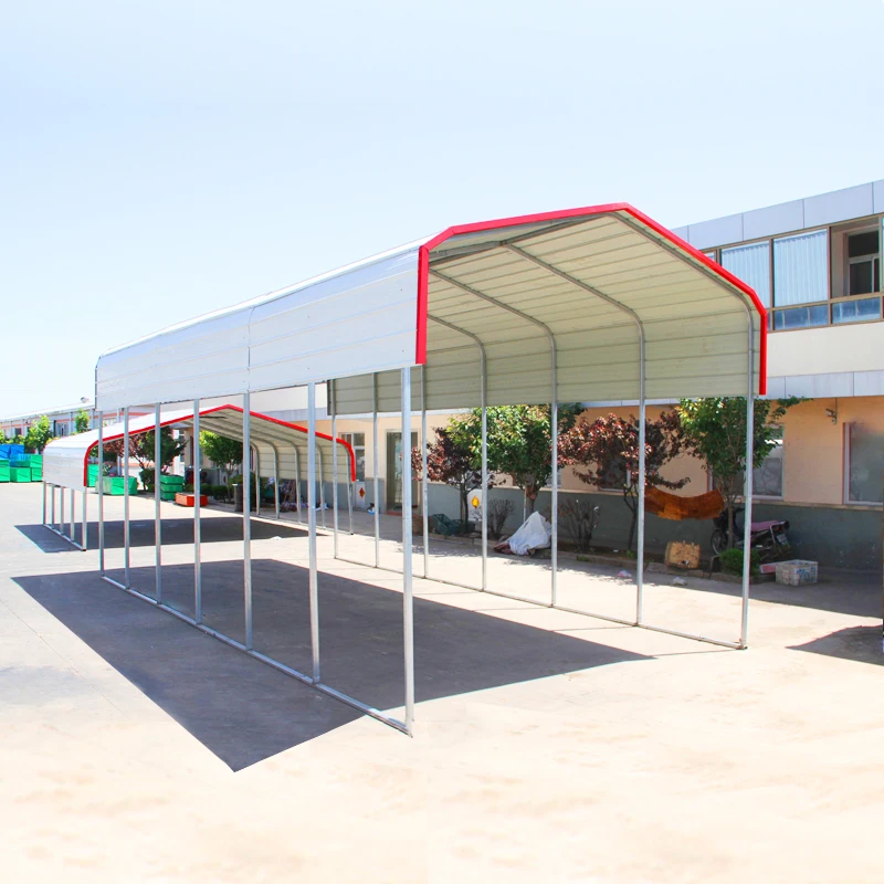 Carport Canopy Shelter