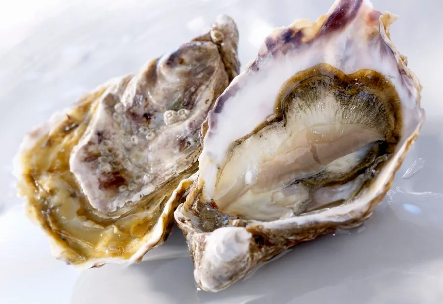 
High Quality Oyster Extract Powder Oyster Meat Powder Oyster Powder 