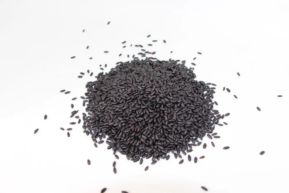 
organic steamed black rice for export 