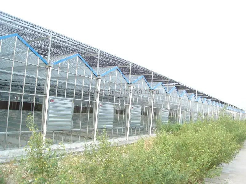 Foshan Factory Wholesale Custom Terrarium Plexiglass Sunrooms Greenhouse Garden For Plant Growth