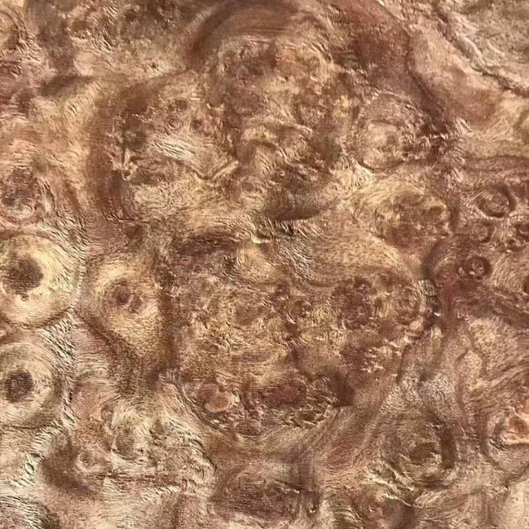 Natural wood veneer red camphor burl veneer