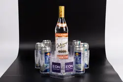 Custom Color energy drink can vodka ice bucket