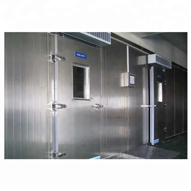 Hot Sale cold storage room freezer chambre froide Stainless Steel SUS 304 Free Hinges Swing Flexible door price