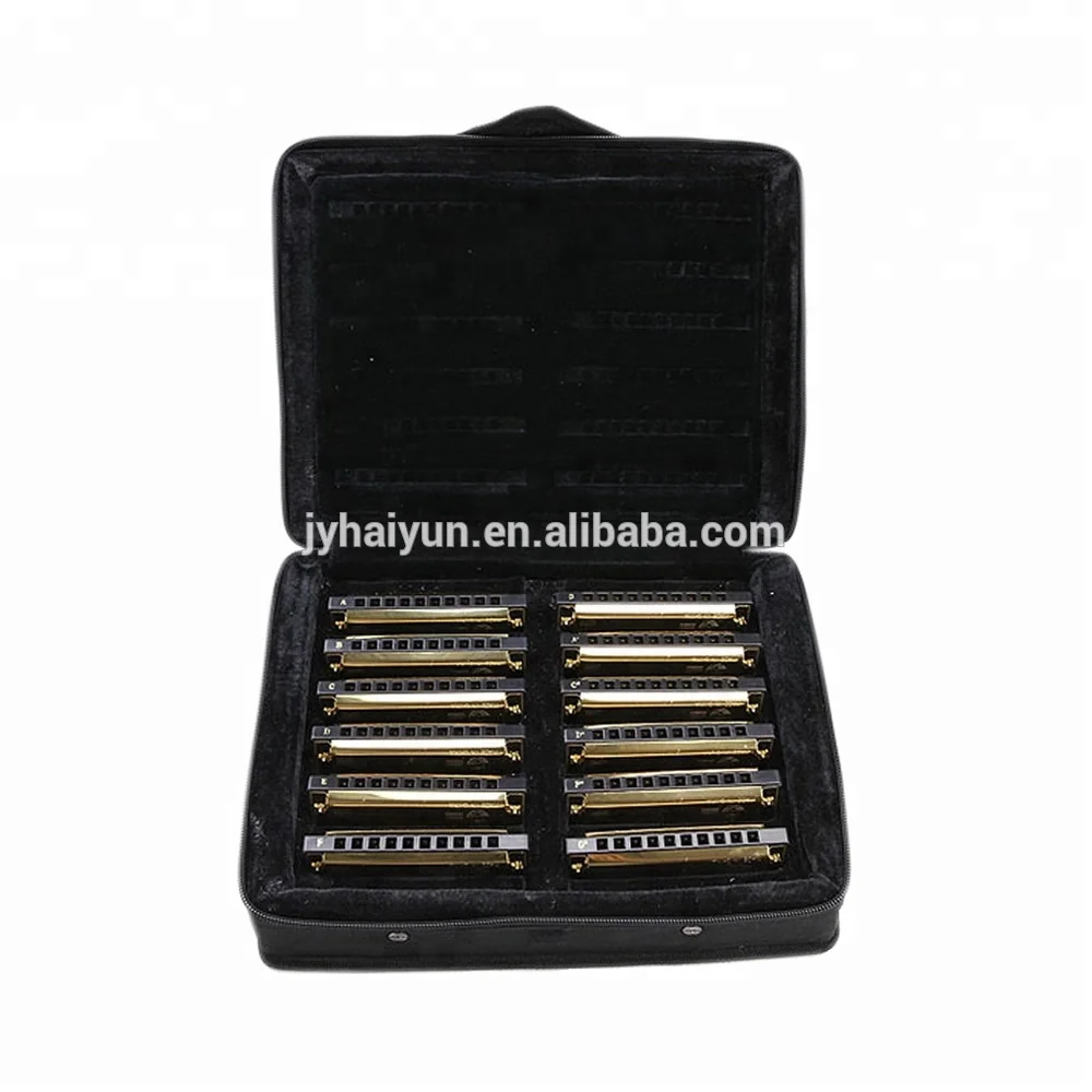 Профессиональный 10 отверстий 12 набор ключей гармоника JH1020-12