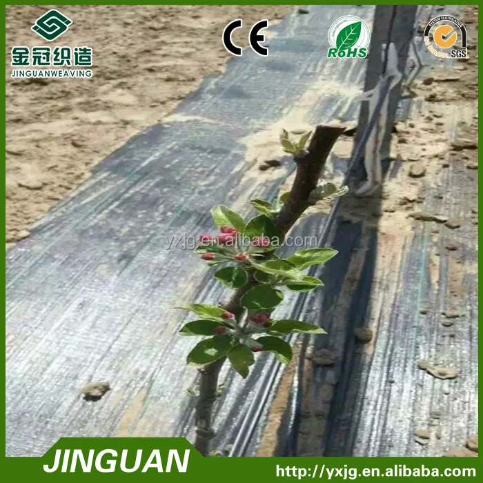 Weed control mat woven PP Ground Cover silt fence fabric mulch film polypropylene woven weed mat