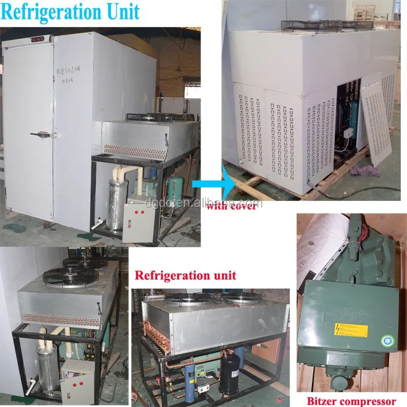 Instant Freezer for 300kg Strawberry Freezing