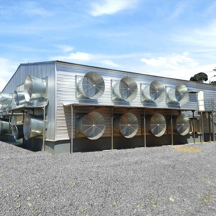 Sandwich panel material prefabricated fast building construction steel poultry house