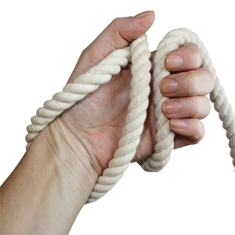 Custom Color high quality new design 100% cotton dog leash With Metal Logo Tag innovative Slip Rope Lead Leash