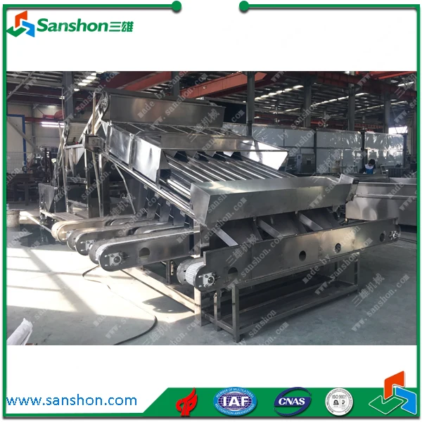 China Shrimp Pilchard Sardine Grading Machine Shrimp Grader