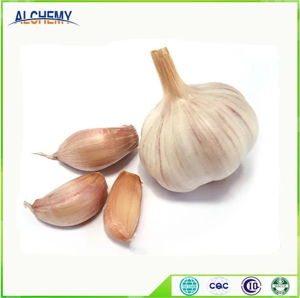 Белый чеснок, фиолетовый чеснок, свежий чеснок