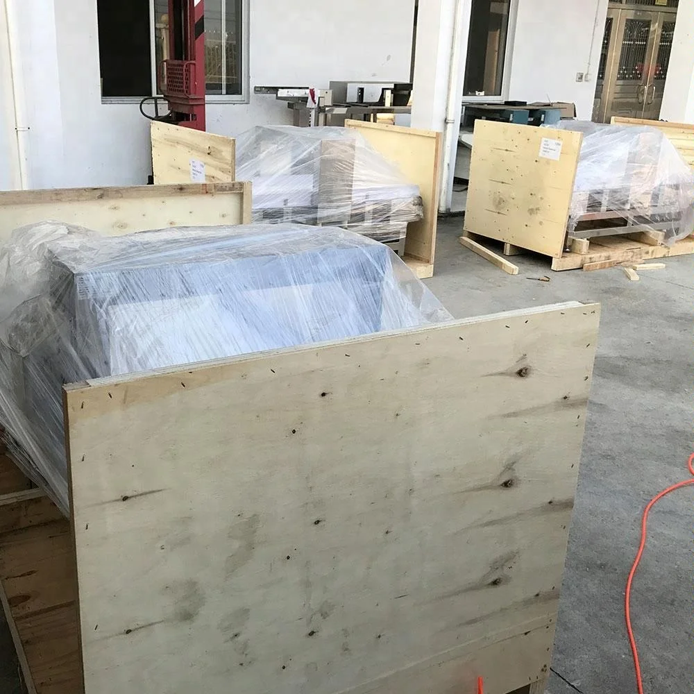 High-Sensitivity Industrial metal detector for Frozen Food