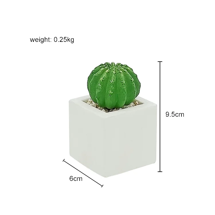 
Hot sale desktop artificial potted plants cactus plants mini artificial cactus 