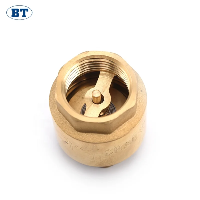 Латунный обратный клапан BT5002