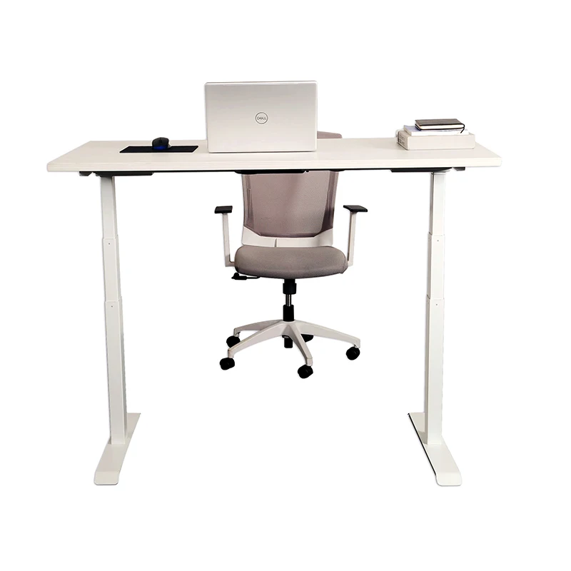 Smart office electronic systems 020 ergonomic 2 motors adjustable height computer desk