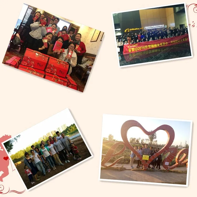 High quality Biological Anatomy entire human skeleton