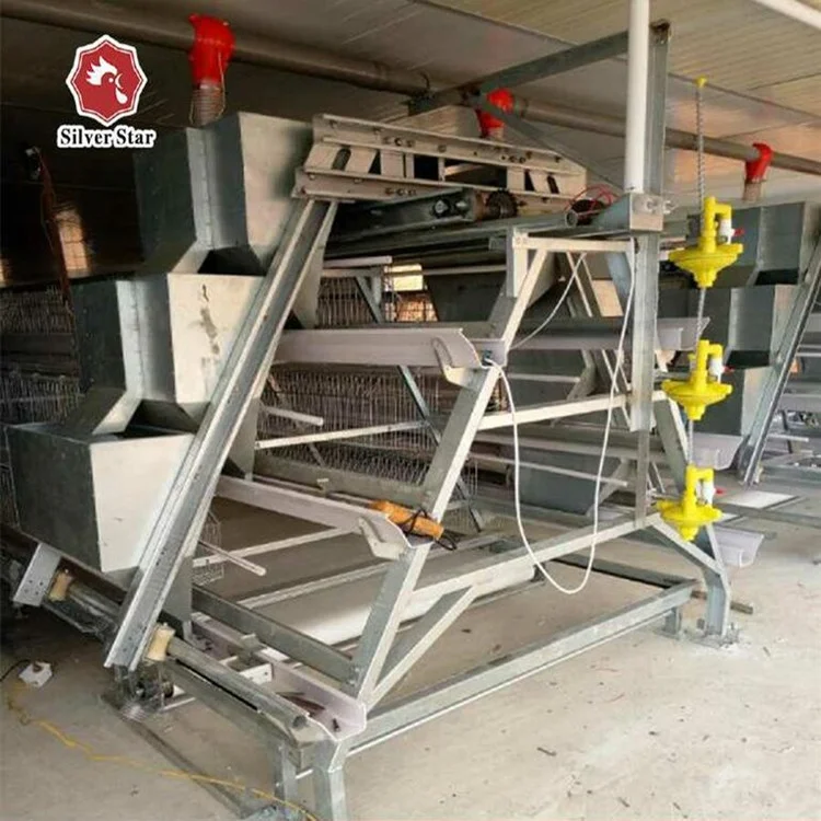 Poultry battery laying chicken cage for automatic livestock raising equipment
