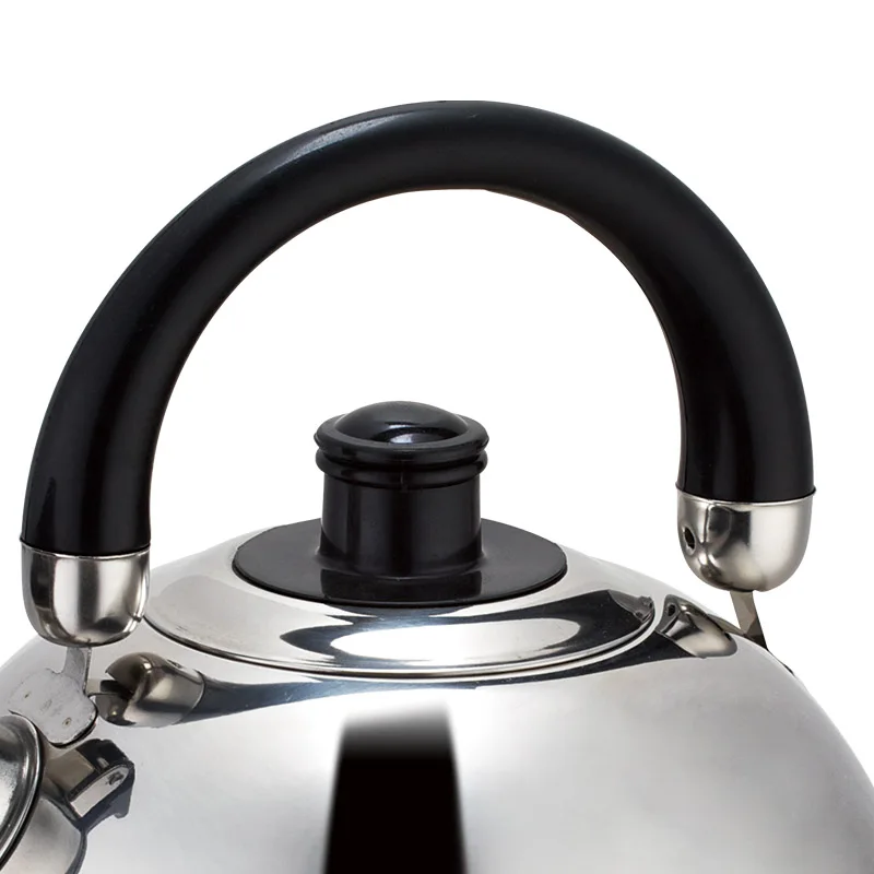 Stainless Steel Whistling Kettle 2.0L Simple For Household Tea 2.5L Induction Cooker Pot 3.0L For Promotion Gift 3.5L Kettle