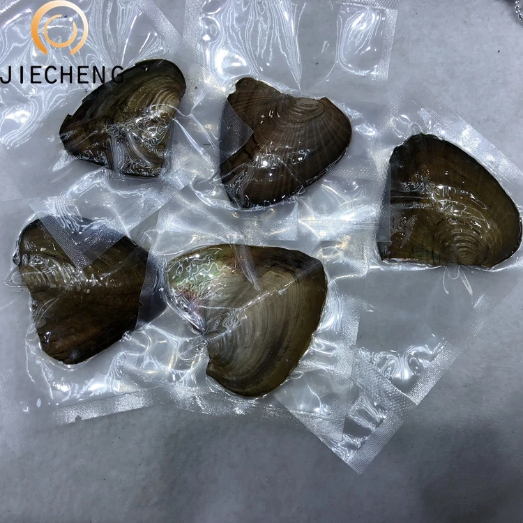 Discount price near round bulk natural cultured freshwater pearl wish live gift wholesale pearl oysters